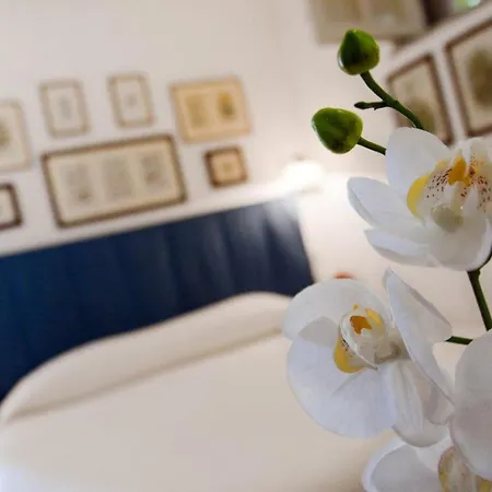 Il Glicine Sul Golfo Bed & Breakfast Mondello Room photo