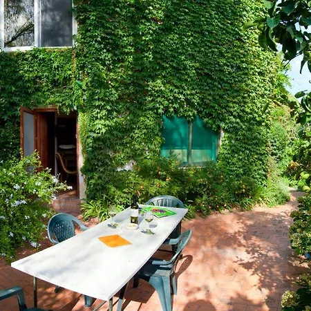 Il Glicine Sul Golfo Bed & Breakfast Mondello Room photo